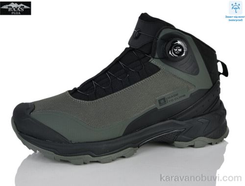 Кросівки BAAS W6026-19C