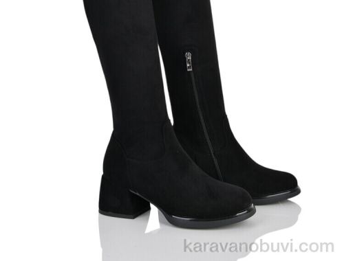 Ботфорти STEFANIYA NINA 708-163