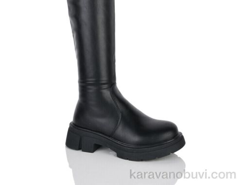 Ботфорти БАШИЛИ W640-1
