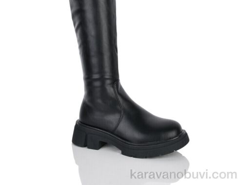 Ботфорти БАШИЛИ W640-3