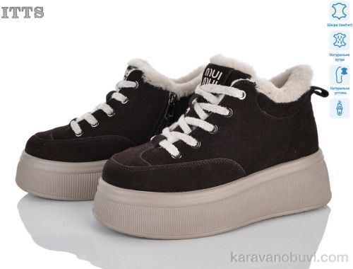 Черевики ITTS DD7570-41