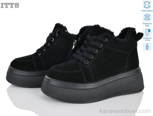 Черевики ITTS DD7575-1