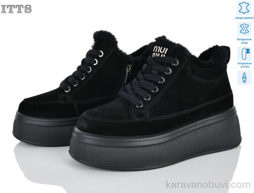 Черевики ITTS DD7578-1