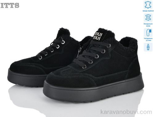 Черевики ITTS DD7632-1